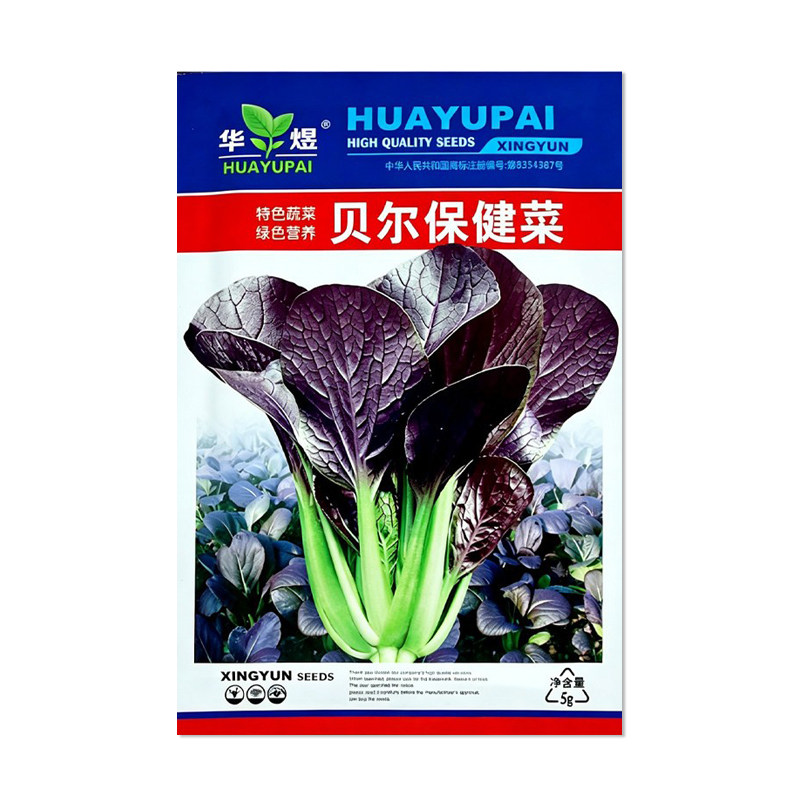 华煜贝尔保健菜种子紫油菜