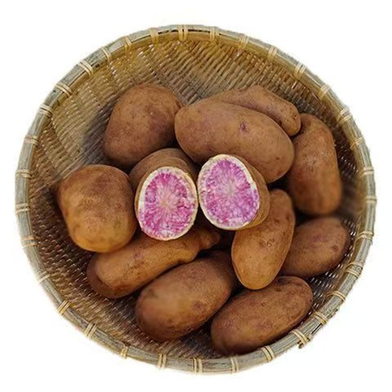 云南土特产花心土豆丽江新鲜红心土豆红皮洋芋老品种七彩花心土豆