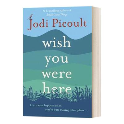 英文原版 Wish You Were Here 希望你在这里 朱迪皮考特 英文版 进口英语原版书籍外文小说