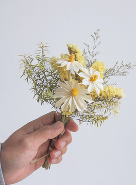 舒茸干花，永生花，客厅摆件