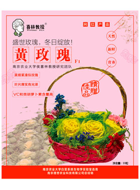 黄心菜种子黄心乌塌菜种