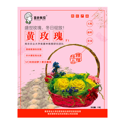 黄心菜种子小白菜种子