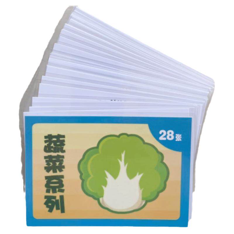 宝宝实物认知卡片套装语言发育迟缓机构学校康复训练动物日常水果