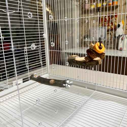 达洋B6001分隔板鸟笼隔板鸟笼中间隔板达洋鸟笼挡板亚克力透明板