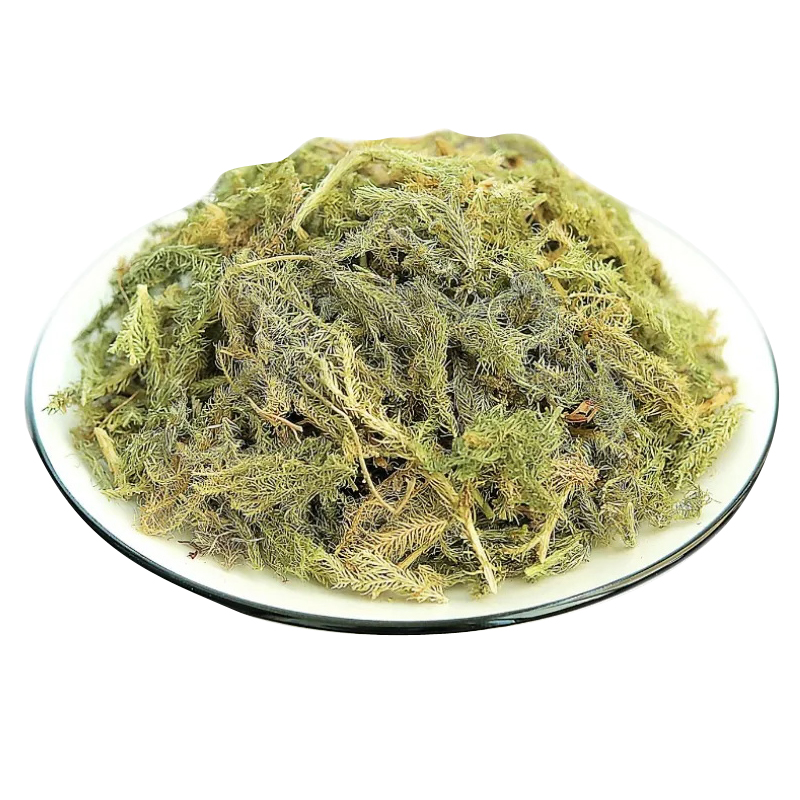 深山伸筋草500g新鲜生晒全颗带根小伸筋草抽筋草狮子尾舒筋草干货