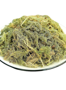 深山伸筋草500g全颗带根小伸筋草