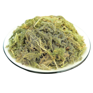 深山伸筋草500g新鲜生晒全颗带根小伸筋草抽筋草狮子尾舒筋草干货