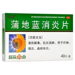 葵花蒲地蓝消炎消炎片清热解毒抗肿消炎咽炎扁桃体咽喉痛肿痛
