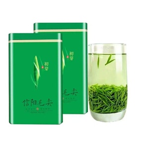 毛尖绿茶信阳毛尖茶叶2025新茶雨前特级高山嫩芽散装浓香型春茶叶