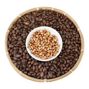 滇鲜生云南落水松野生新鲜大颗粒饱满精选新货坚果原味松子送夹子