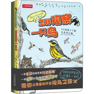 怎样观察一只鸟 克莱尔·沃克·莱斯利新作彩铅画鸟类观察科普读物