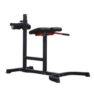 罗马椅健身凳山羊挺身腰背腹肌伸展训练臀大肌腘绳肌锻炼健身器材