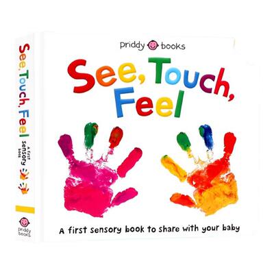 See touch feel 英文原版绘本 Seetouchfeel 触觉视觉感官认知 A First Sensory Book 低幼儿童早教启蒙 亲子互动游戏书含镜子