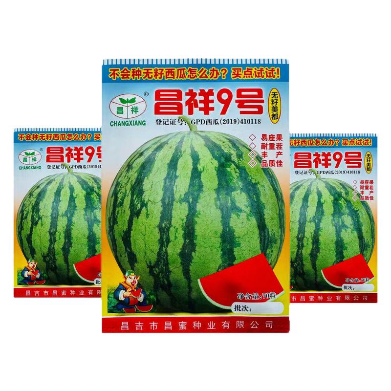 9号无籽西瓜种子美都薄皮特大抗号耐重茬冰糖麒麟西瓜种籽孑