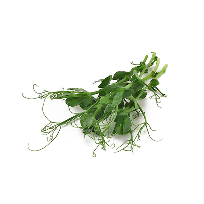 新鲜璇蔓豆苗食用芽苗沙拉蔬菜