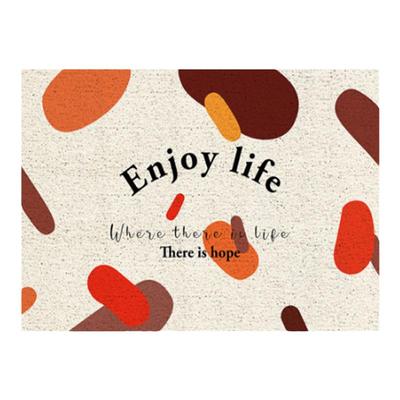 enjoylife地毯入户门防水丝圈门垫进门免洗门口地垫除尘脚垫可裁