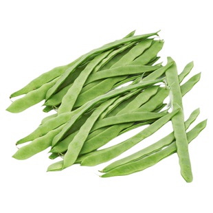 玉龙3号三扁芸豆种子扁青架芸豆高产早熟豆角扁豆油豆蔬菜种孑