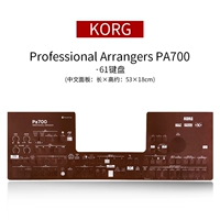 PA700 Китайская панель