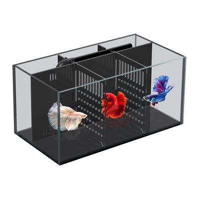 闽江桌面缸斗鱼专用单独隔离鱼缸
