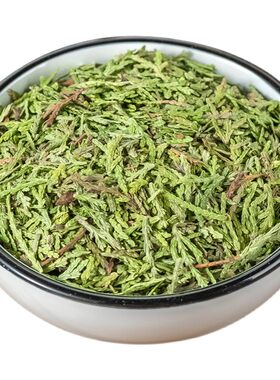 侧柏叶中药材洗发水中草药