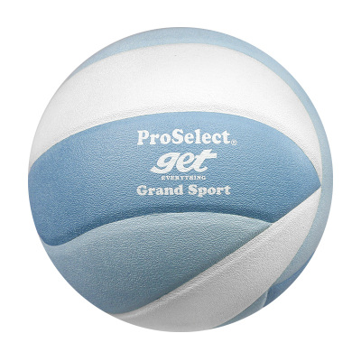 ProSelect专选排球专业贴皮标准学生中考考试专用排球训练硬排5号