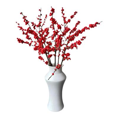 北美冬青红果鲜花切枝鲜切火棘果