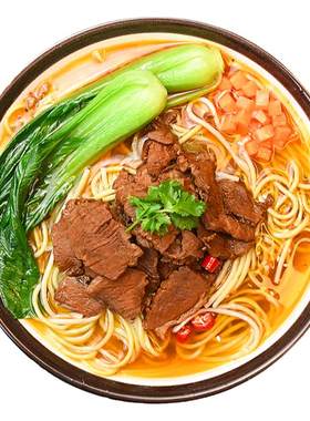 粮农红烧牛肉面条浇头料理260g