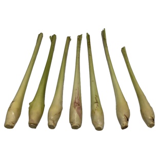 新鲜泰国品种白杆香茅泰式餐厅火锅烧烤奶茶调料 香茅草 上海发货