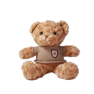 七色堇鲜花搭配草莓熊趴趴熊毛绒公仔玩偶花束礼盒包装diy花艺