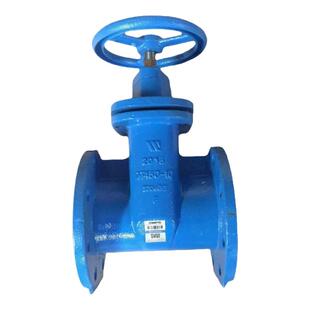 美国沃茨WATTS暗杆式法兰闸阀W-405球墨铸铁石油化工水开关截断阀