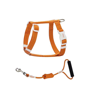 ZOOLAND猫咪工字型胸背牵引绳出行溜猫防挣脱可调节幼猫牵引绳子