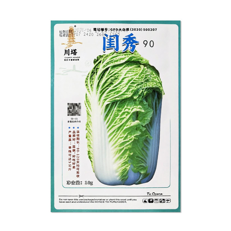 川塔闺秀90大白菜种子