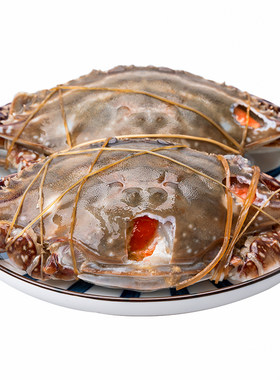 咸蟹韩式腌制特产母蟹