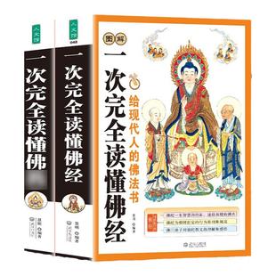 全2册 图解一次完全读懂佛法+佛经 学佛经佛学佛学入门基础知识 金刚经心经坛经楞严经学禅宗论无量寿经法华经华严经心经书籍