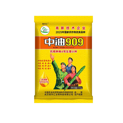 中油909油菜种子抗根肿高含油
