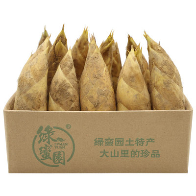 新鲜现挖冬笋绿蛮园野生特产