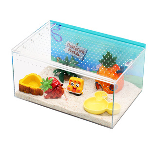 寄居蟹高透一体饲养箱～寄居蟹活体新手饲养套餐套装亚克力礼物