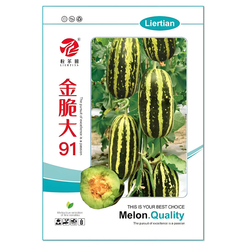金脆大91甜瓜种子花皮绿肉