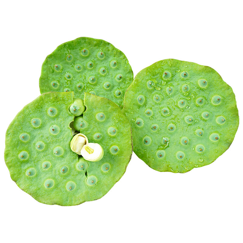 老余家嫩莲蓬现摘现发顺丰空运