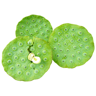 老余家洪湖莲蓬新鲜水果嫩莲子生吃零食湖北特产现摘带壳3斤顺丰