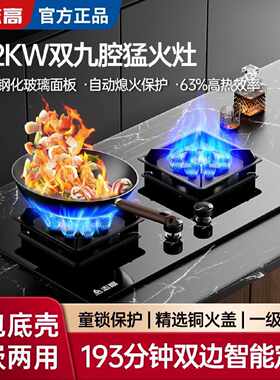 志高燃气灶家用猛火灶2026新款煤气灶气嵌入式燃气灶具液化气正品