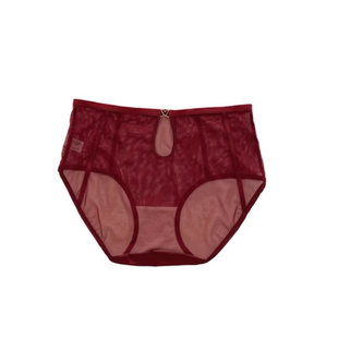 性感撩人纯欲风半透明缕空网纱蕾丝轻薄透气无痕速干女士三角内裤