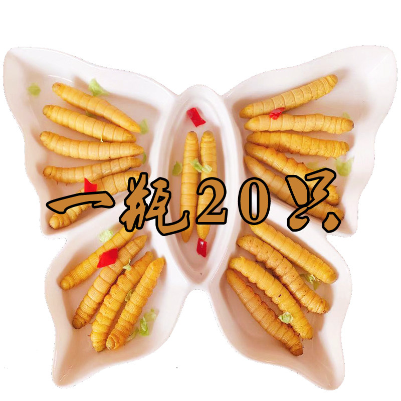 新鲜豆丹美食非油炸瓶装20只虫子