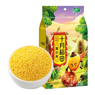 【次日达】十月稻田黄小米1kg小米杂粮五谷杂粮粥粗粮大米小米粥