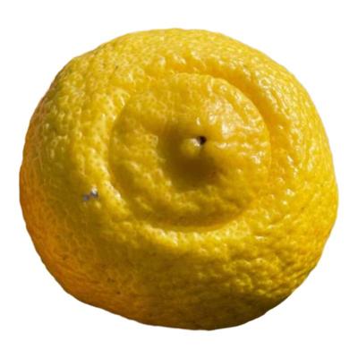 湖南怀化正宗黄金贡柚新鲜当季黄肉春香柚小蜜柚孕妇水果10斤大果