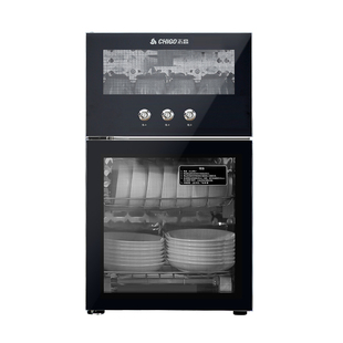 志高消毒柜家用立式高温碗筷收纳柜餐具小型单双门消毒碗柜二星级