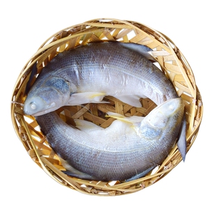 德裕隆潮汕鱼饭非遗老字号传统午笋马友鱼饭打冷新鲜海鲜即食