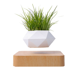 磁悬浮花盆木雕潮流客厅摆件网红创意花店装饰灯泡黑科技礼物礼品