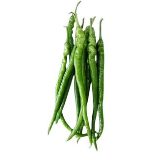 【辣爆了】精品特辣正宗青椒二荆条现摘现发农家自种本地辣椒新鲜
