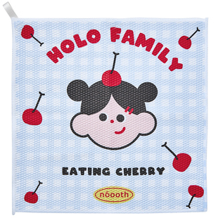 诺室hola家鱼鳞抹布无痕不留水渍吸水不掉毛厨房擦玻璃专用鱼鳞布